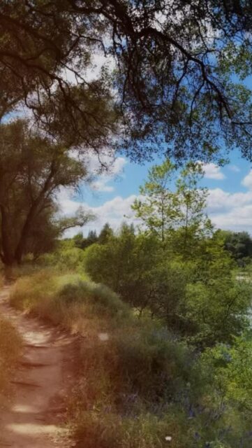 Sometimes the best path isn’t the fastest or the most familiar. It’s the one that leads you back to yourself. 🌿
Welcome to Adventurous Ambles, where we explore the world one meaningful step at a time.
From peaceful wilderness trails to unforgettable city walks, you’ll find thoughtfully created walking guides, travel itineraries, practical tips, and destination-inspired reading lists to help you slow down, look closer, and connect more deeply with every place you visit.
Ready to discover where the path might lead you?
Explore adventurousambles.com and follow @adventurousambles for your next adventure.
#AdventurousAmbles #WalkingTheWorldsWonders #FindYourPeace #MindfulTravel #SlowTravel