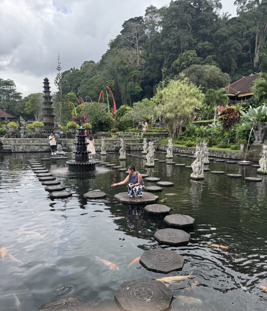 feeding koi