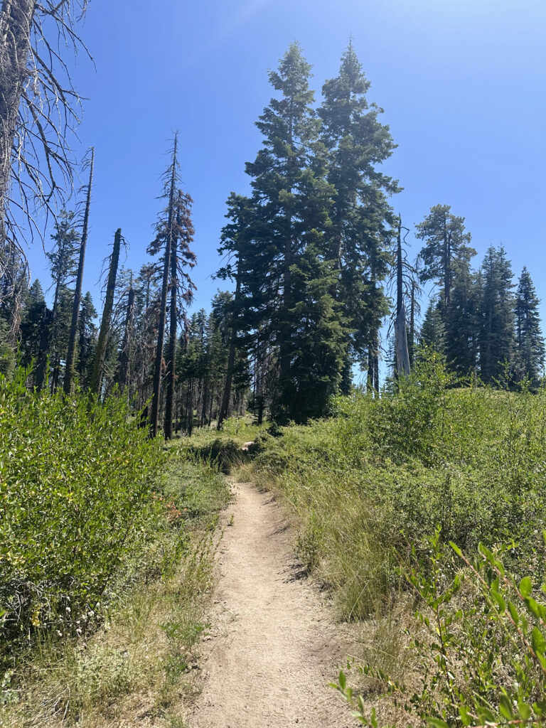 buena vista hike