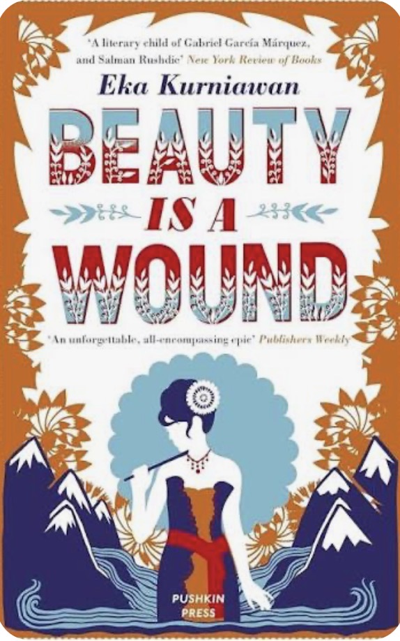 beauty is a wound cover
