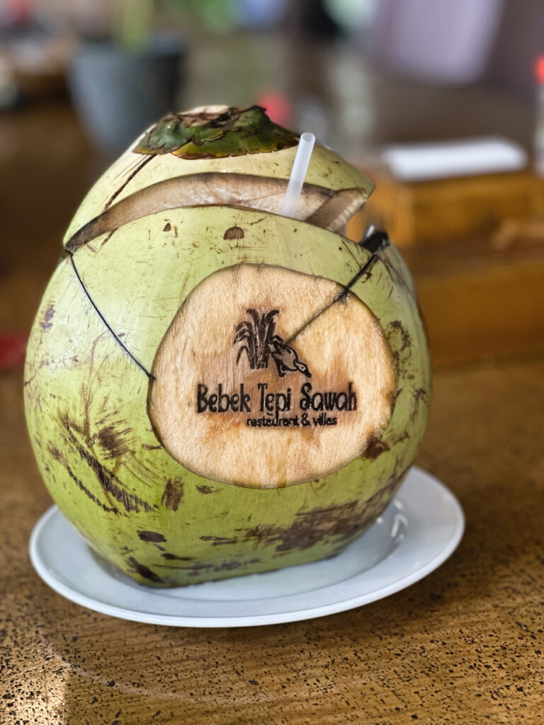 bebek tepi coconut