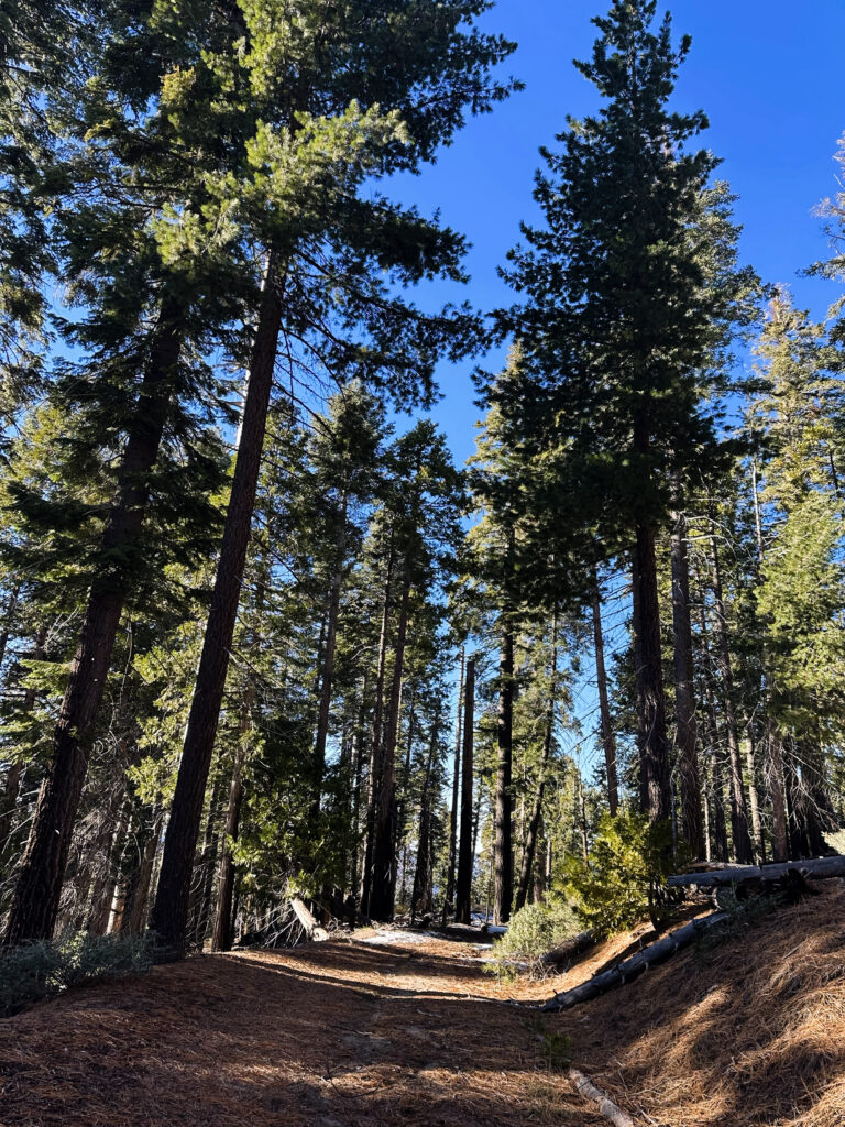 general grant trail