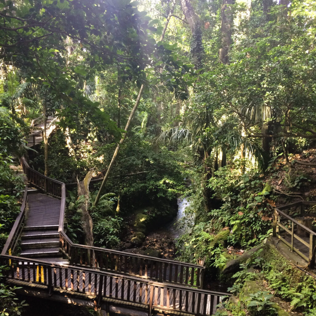 monkey sanctuary scaled.jpg