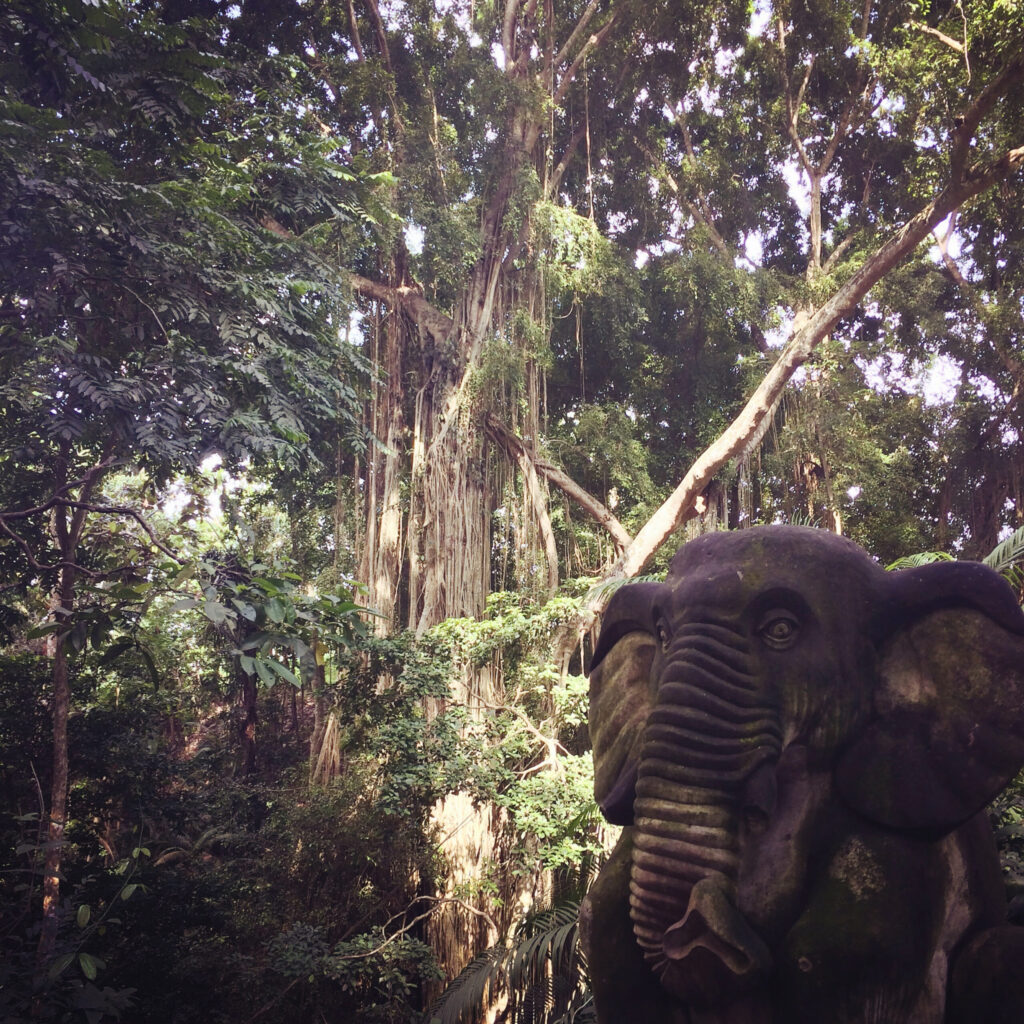 monkey sanctuary elephant statue scaled.jpg