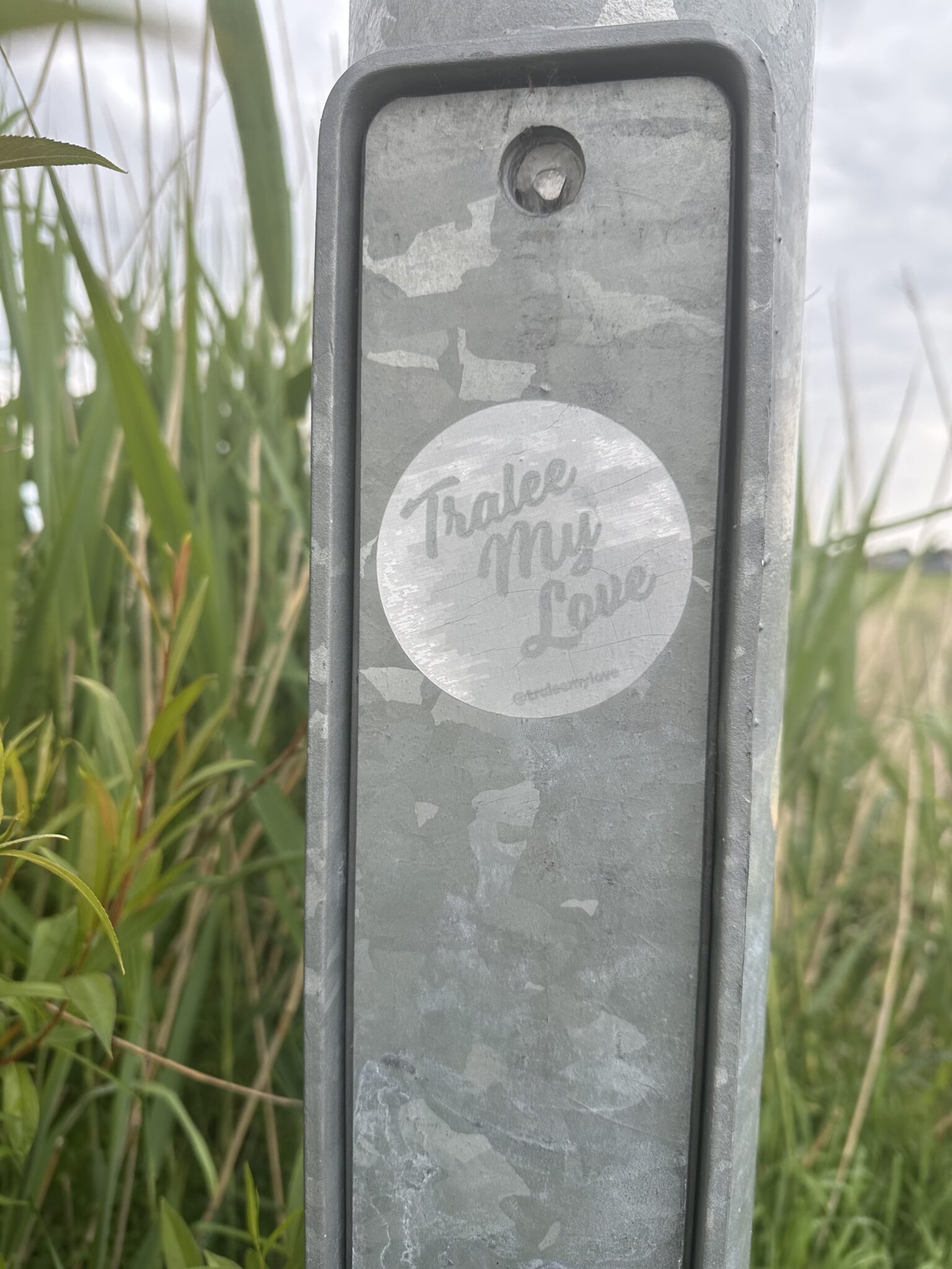 tralee canal walk