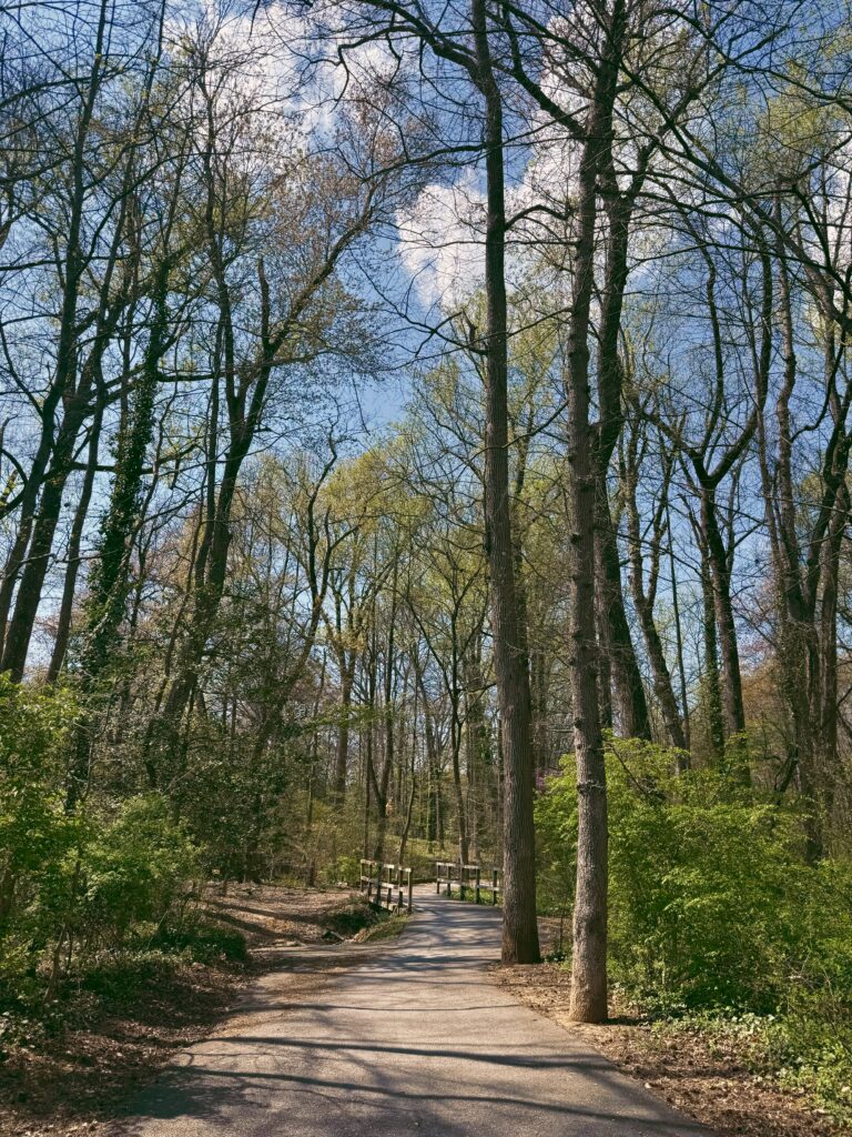 processed with lensa with tm1 filter