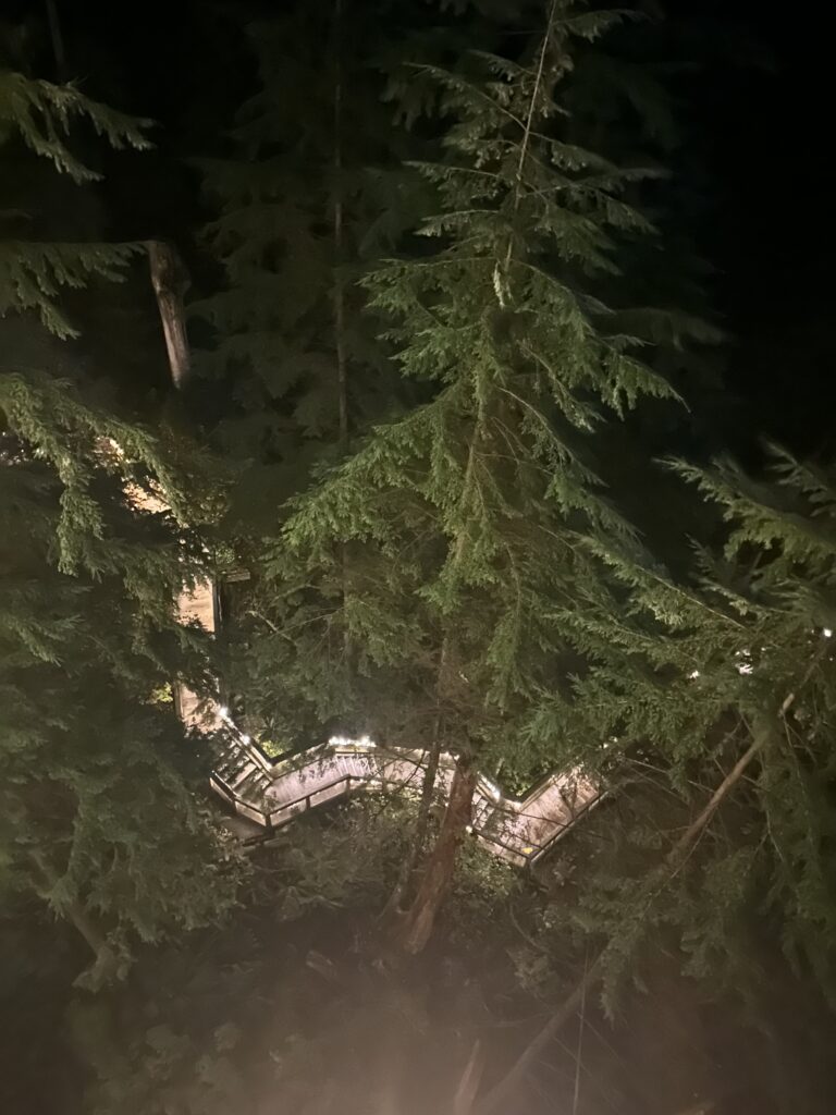capilano bridges from above