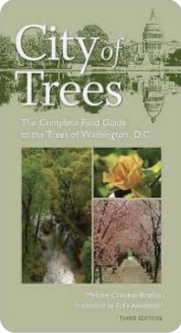 city of trees cover