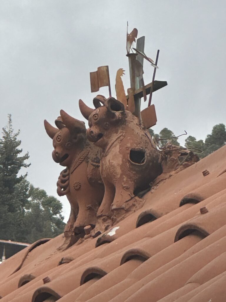 cusco bulls on roof