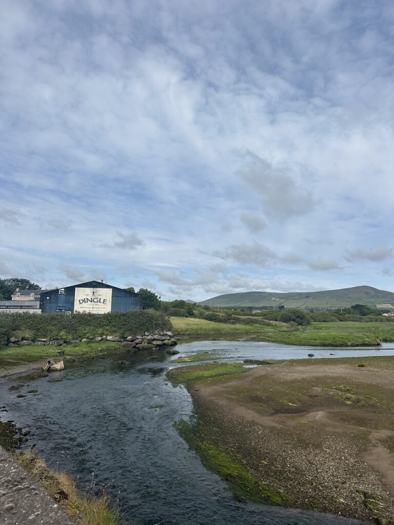 dingle