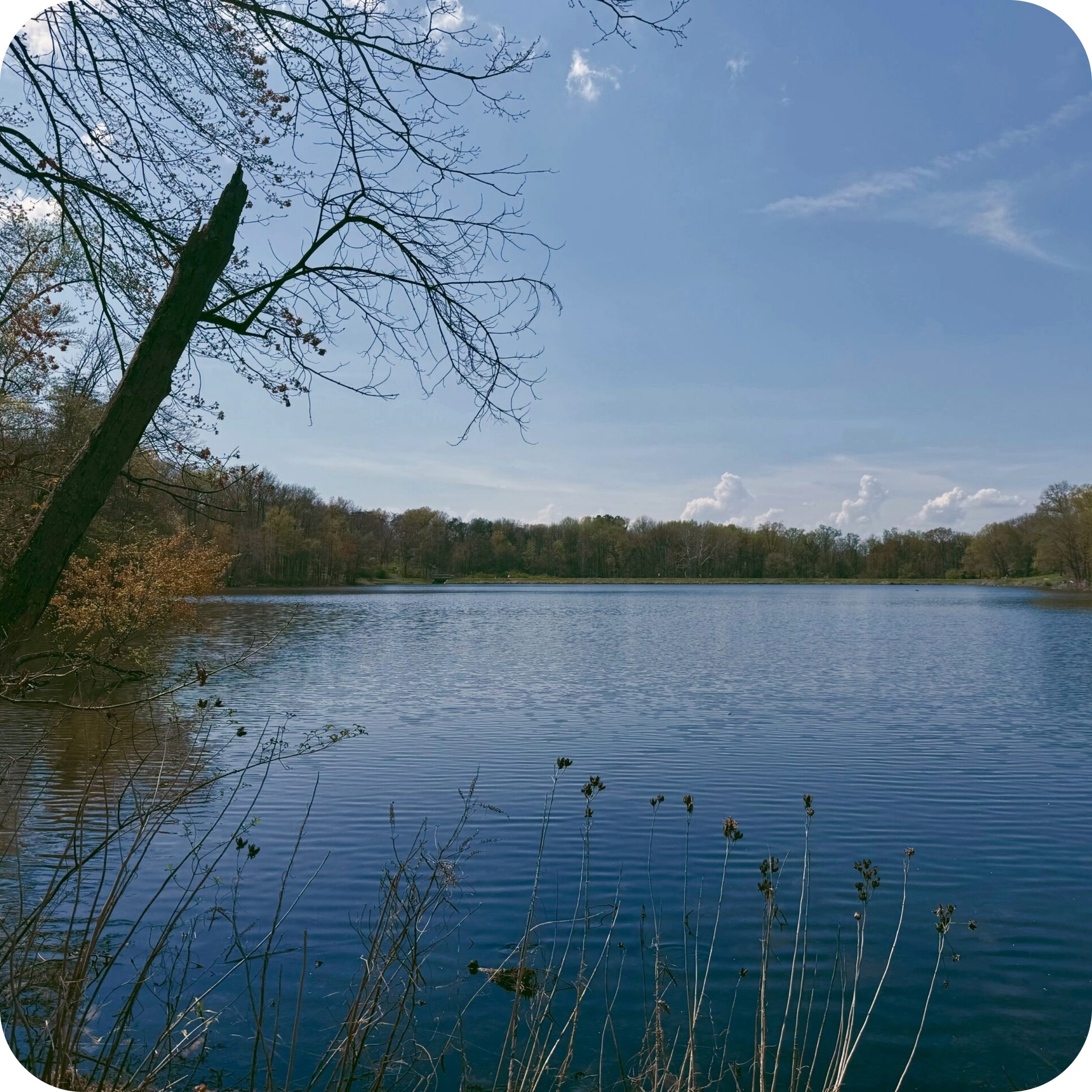 greenbelt lake 1.jpeg