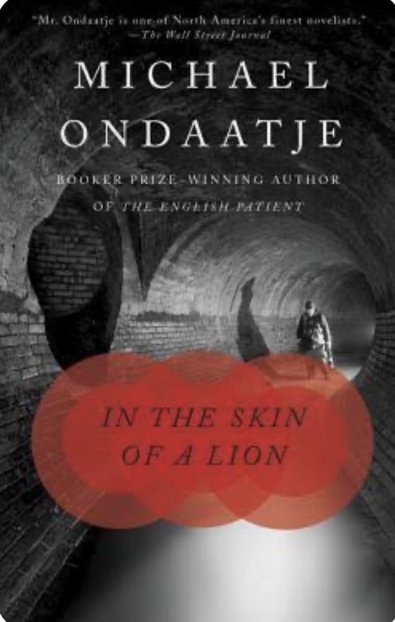 in the skin of a lion cover
