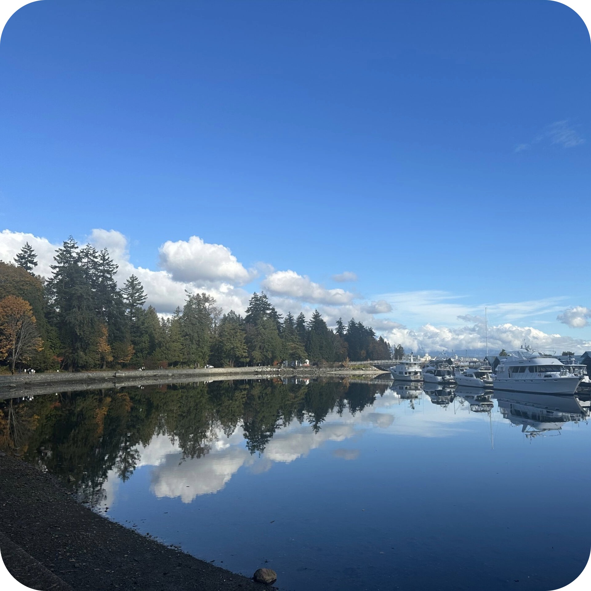 stanley park loop trail.jpeg