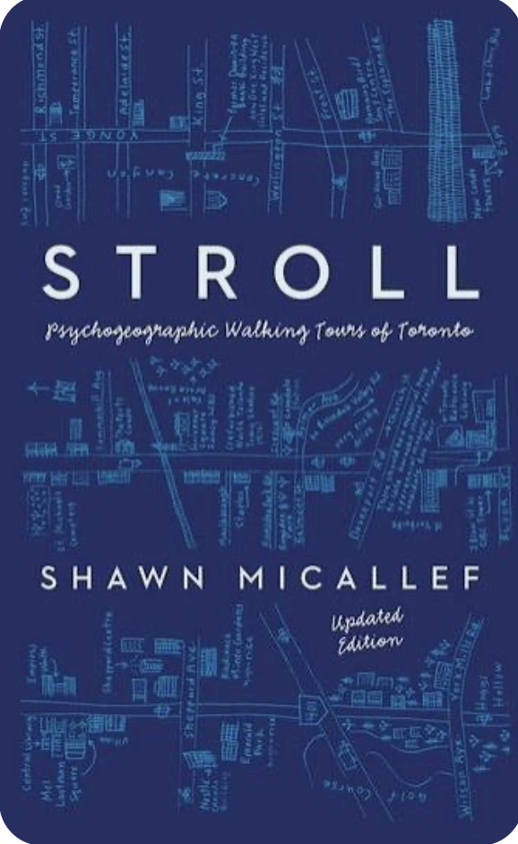 stroll cover