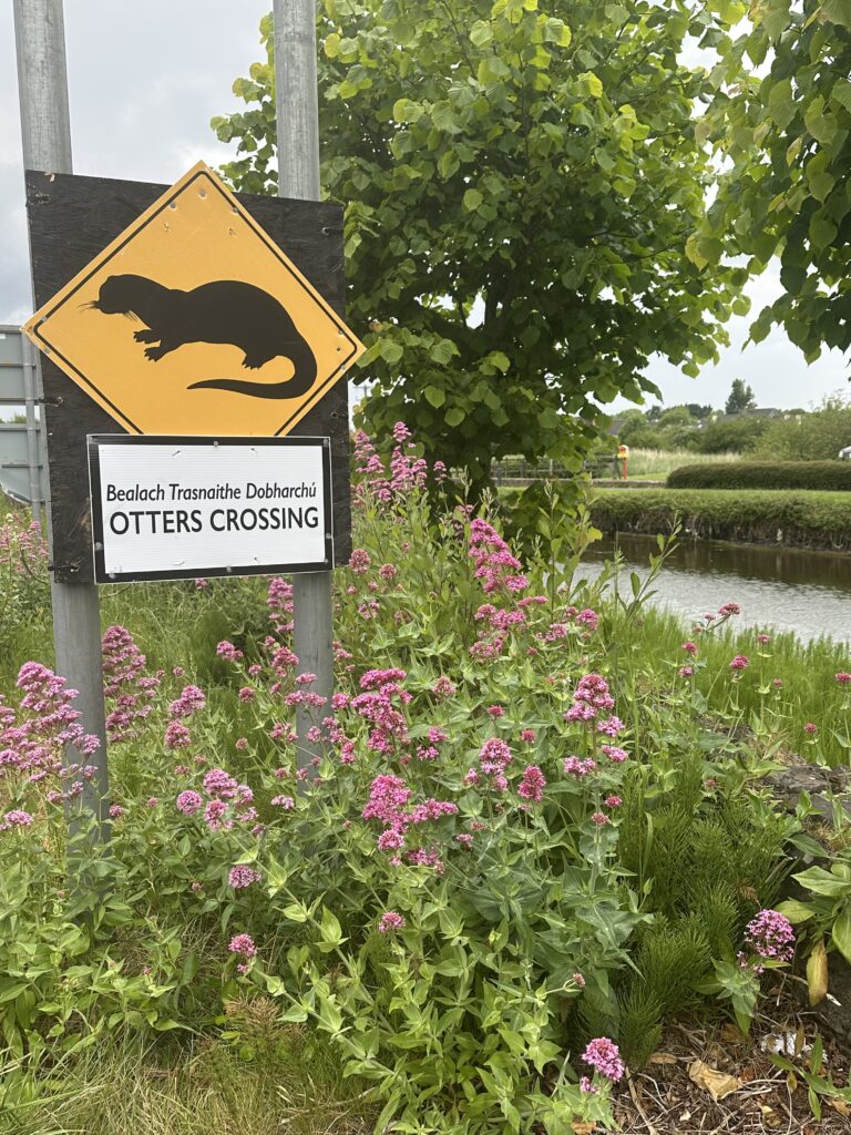 otters crossing sign by tralee canal
