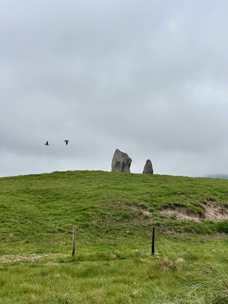 ogham stones along the dingle way