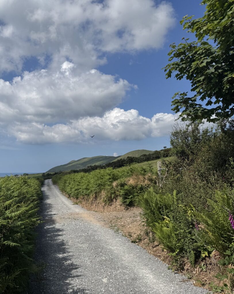 the dingle way gravel trail