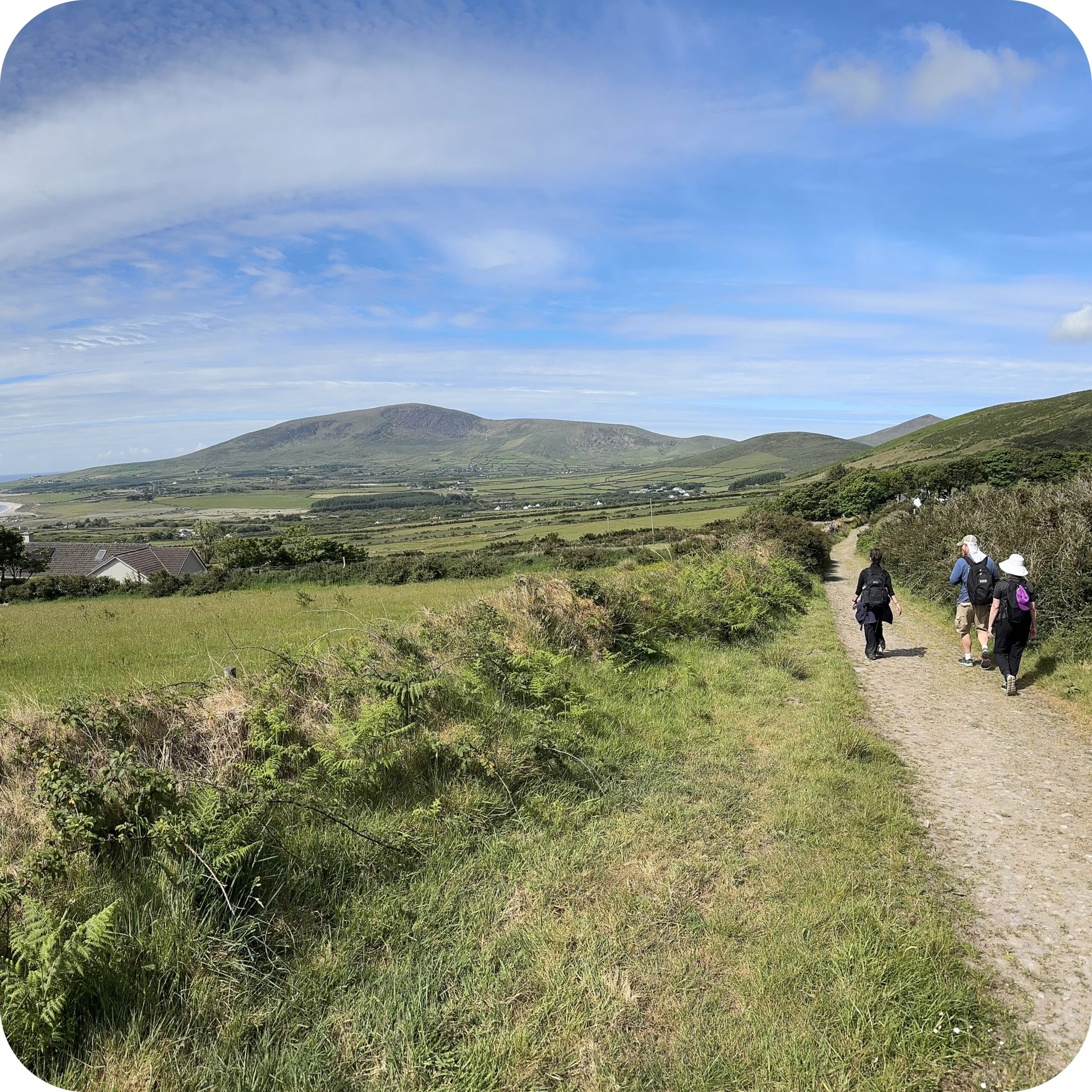 the dingle way trail